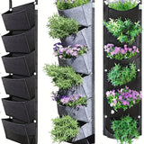 Beplanting hangzak schutting/muur