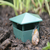 Eco-vriendelijke Slakkenval