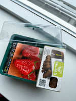 Kweekbak set met 50x reuze aardbeien zaadjes set 12 delig