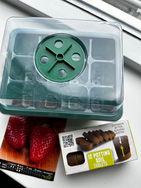 Kweekbak set met 50x reuze aardbeien zaadjes set 12 delig