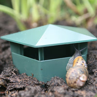 Eco-vriendelijke Slakkenval